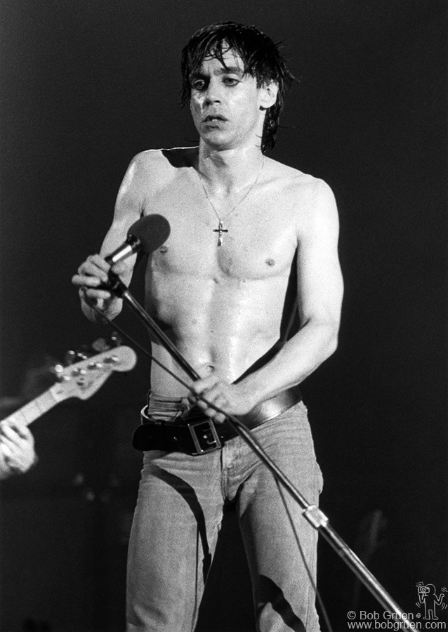nude and rude the best of iggy pop