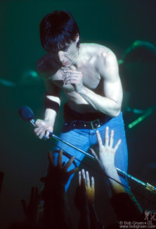 Iggy Pop, Toronto - 1977