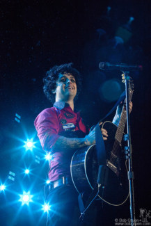 Billie Joe Armstrong, Dublin - 2010