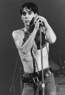 Iggy Pop, Toronto - 1977