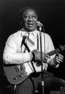 Muddy Waters, NYC - 1977