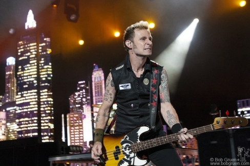 Mike Dirnt, NJ - 2010