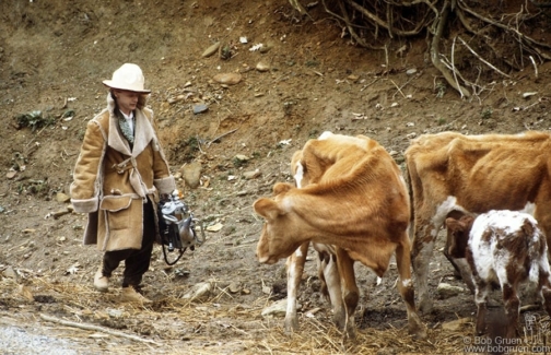 Malcolm McLaren, TN - 1983