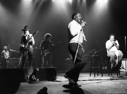 Johnny Winter, Muddy Waters and James Cotton, NYC - 1977