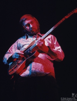 Roy Buchanan, NYC - 1973 