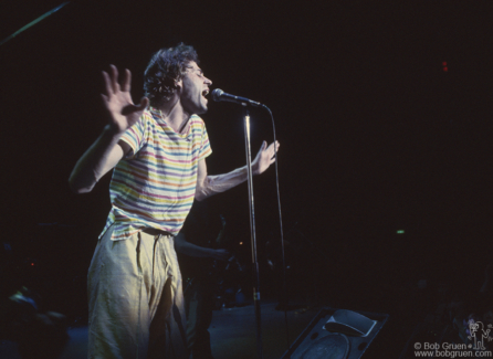 Bob Geldof, Japan - 1980